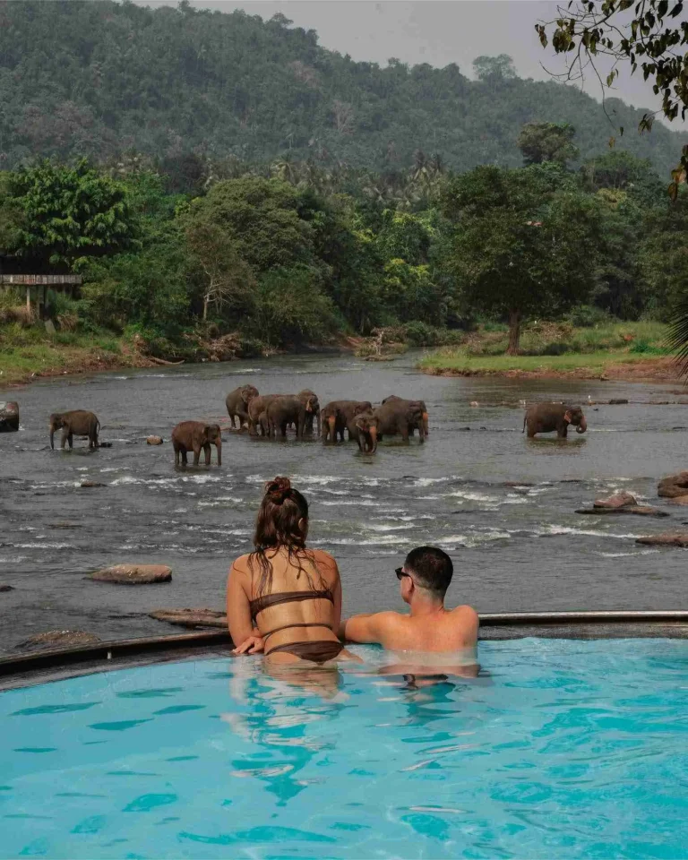 Honeymoon Vibes 1 DSC06617