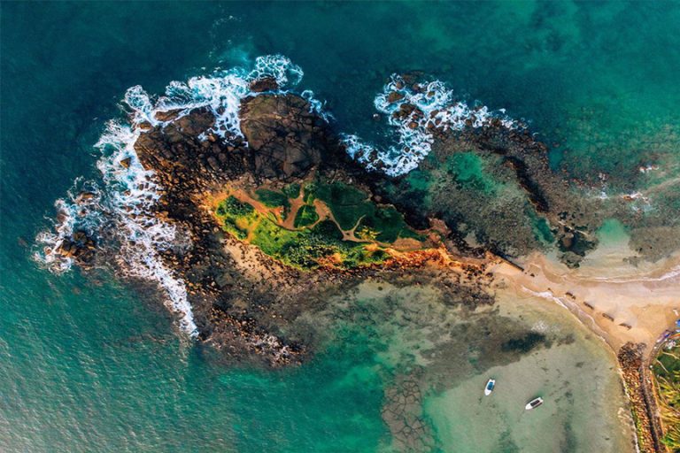 Down South Explore 11 Parrot Rock