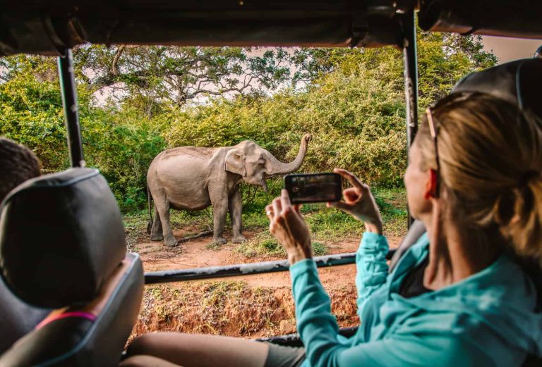 Honeymoon Vibes 14 Yala national park closure